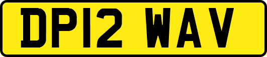 DP12WAV