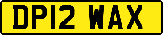 DP12WAX