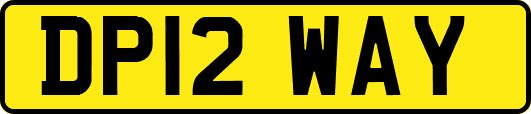 DP12WAY