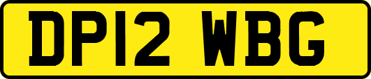 DP12WBG