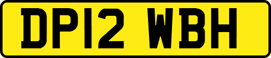 DP12WBH