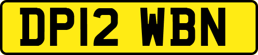 DP12WBN