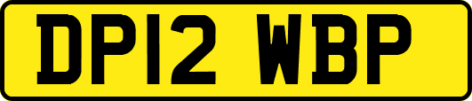 DP12WBP