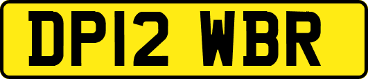 DP12WBR