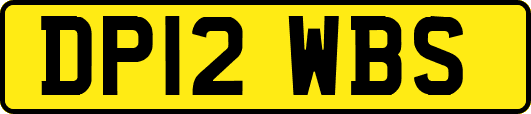 DP12WBS