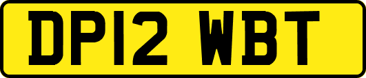 DP12WBT