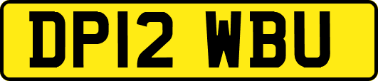 DP12WBU