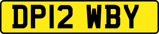DP12WBY