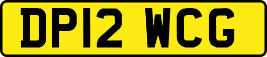 DP12WCG
