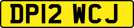 DP12WCJ