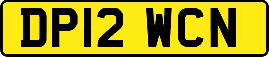 DP12WCN