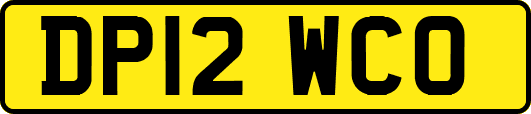 DP12WCO