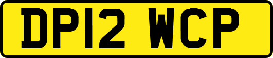 DP12WCP