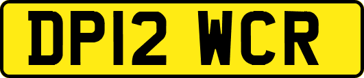DP12WCR