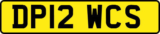 DP12WCS