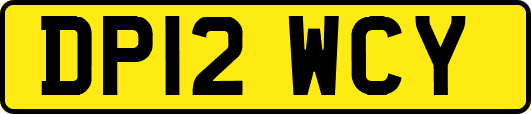 DP12WCY