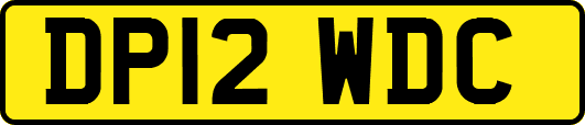 DP12WDC