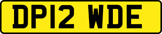 DP12WDE