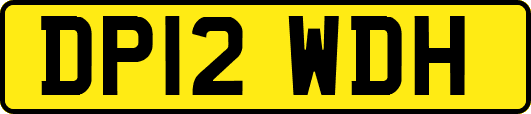 DP12WDH