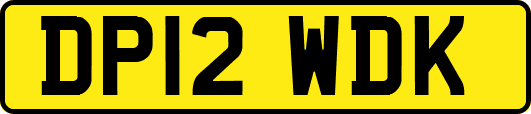 DP12WDK