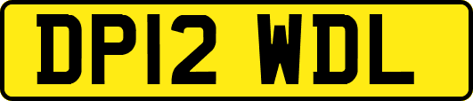 DP12WDL