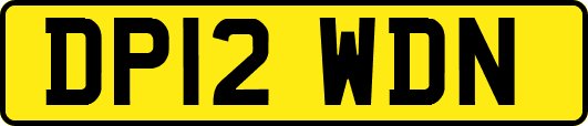 DP12WDN