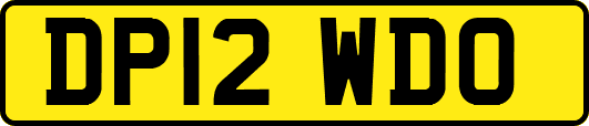DP12WDO