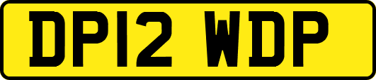 DP12WDP