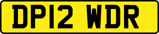 DP12WDR