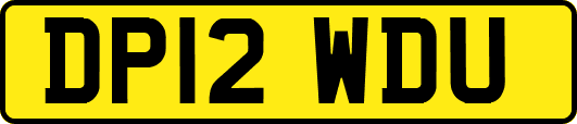 DP12WDU