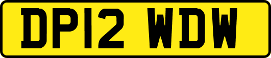 DP12WDW