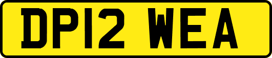 DP12WEA
