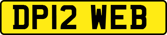 DP12WEB