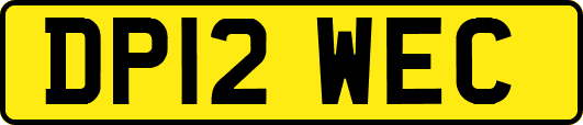 DP12WEC