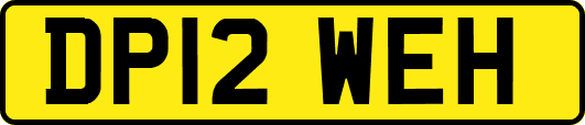 DP12WEH