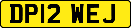 DP12WEJ
