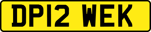 DP12WEK