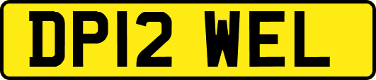 DP12WEL