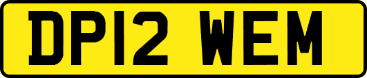 DP12WEM