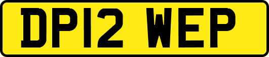 DP12WEP