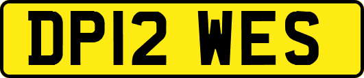 DP12WES