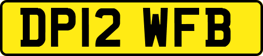 DP12WFB