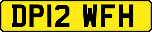 DP12WFH