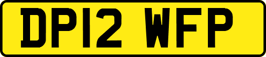 DP12WFP