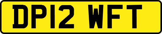 DP12WFT