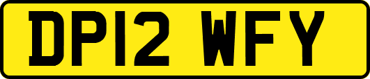 DP12WFY