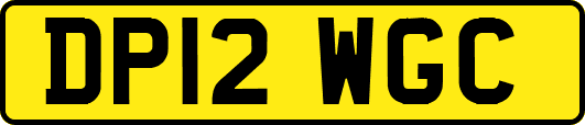DP12WGC