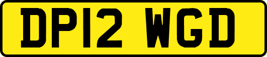DP12WGD
