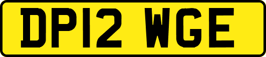 DP12WGE