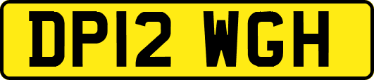 DP12WGH